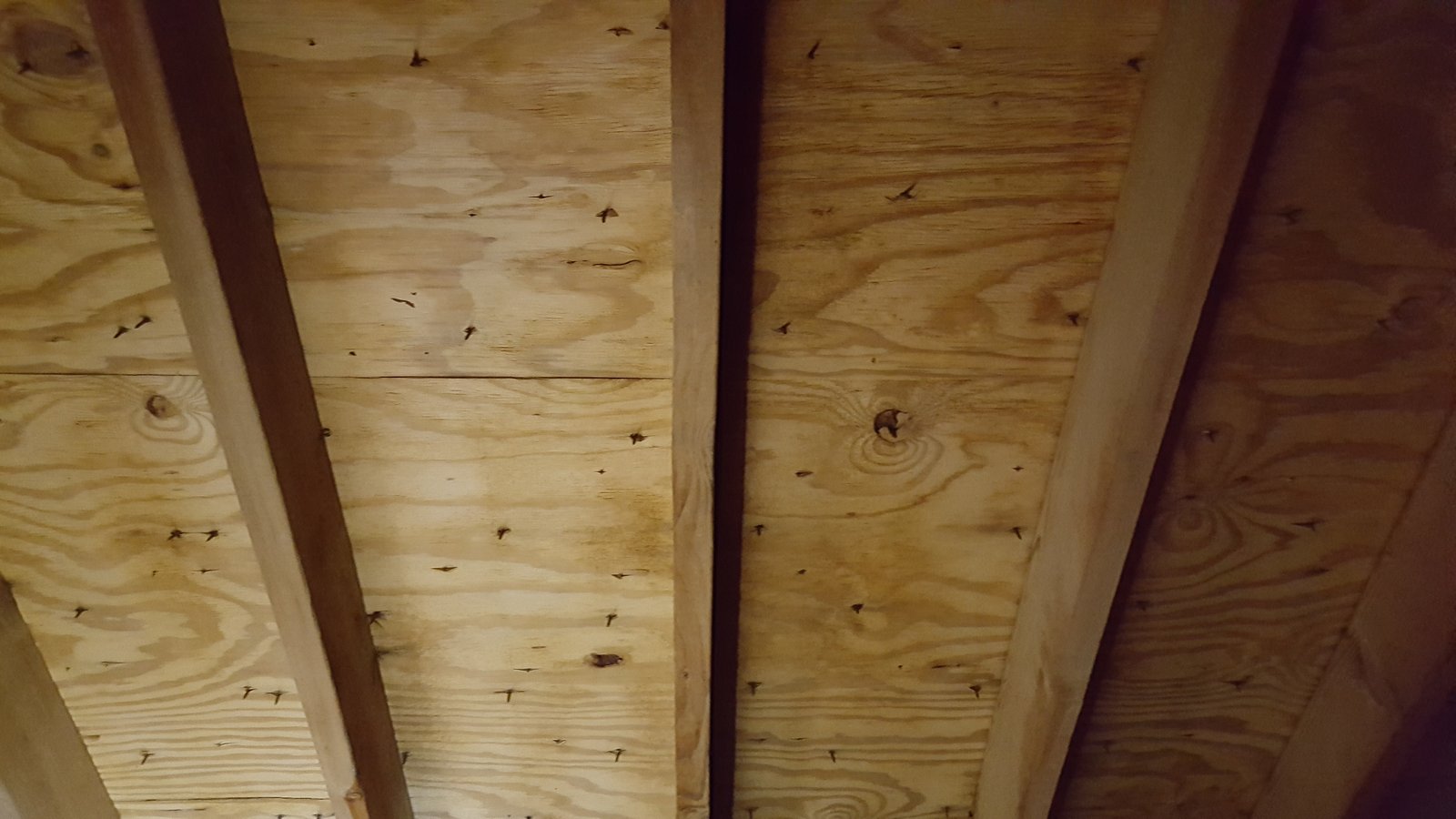 After mold remediation - clean roof structure